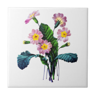 Carreau Primevere ou Primroses par Pierre Joseph Redoute