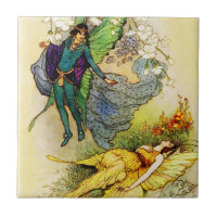 Prince et princesse féeriques Tile