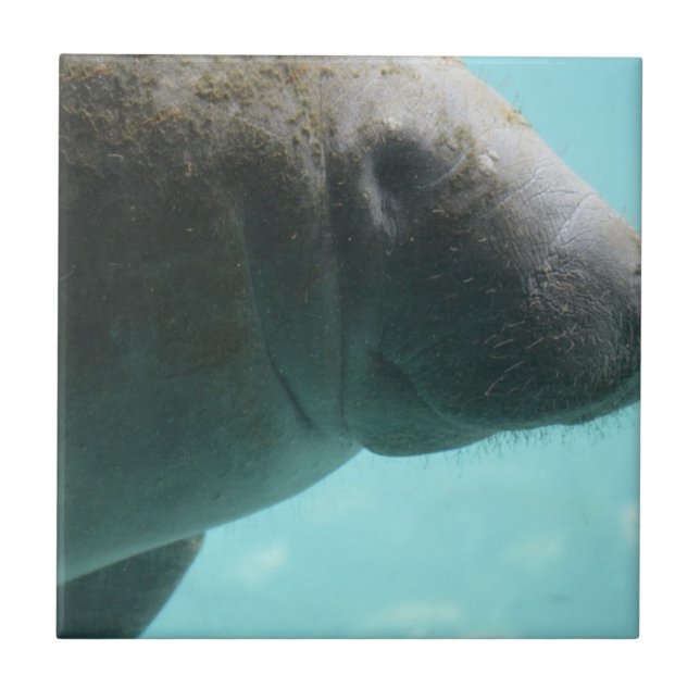 Carreau Produit de personnaliser (Devant)