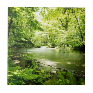 Carreau Profondément dans la forêt
