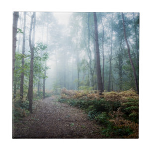 Carreau Promenade brumeuse de forêt