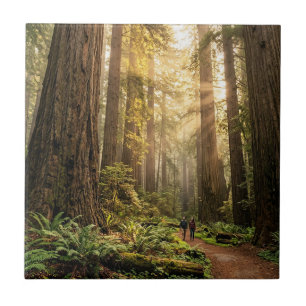 Carreau Promenade en forêt