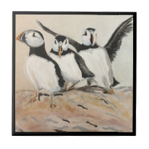 Puffin