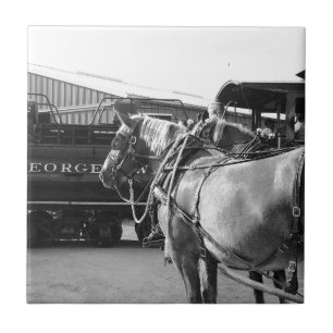 Carreau Puissance du cheval et puissance de vapeur