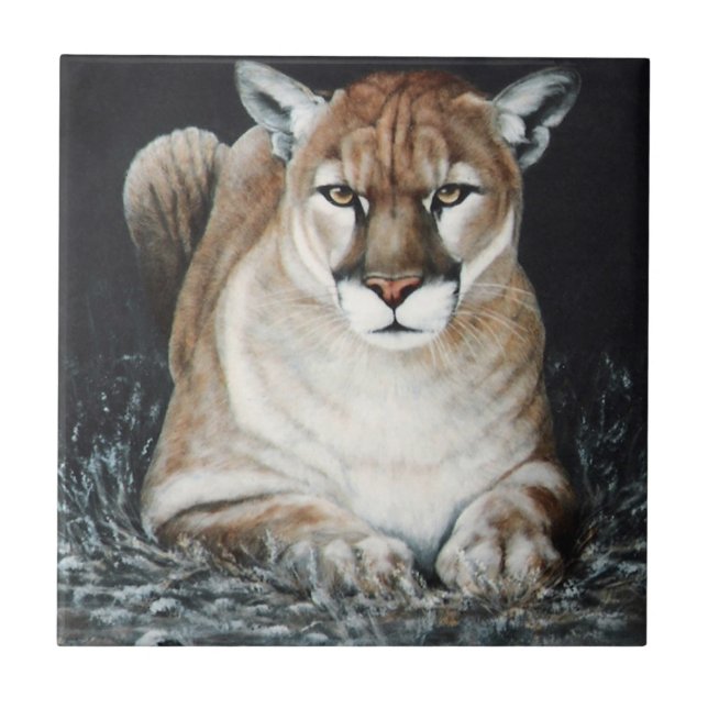 Carreau Puma de acroupissement (Devant)