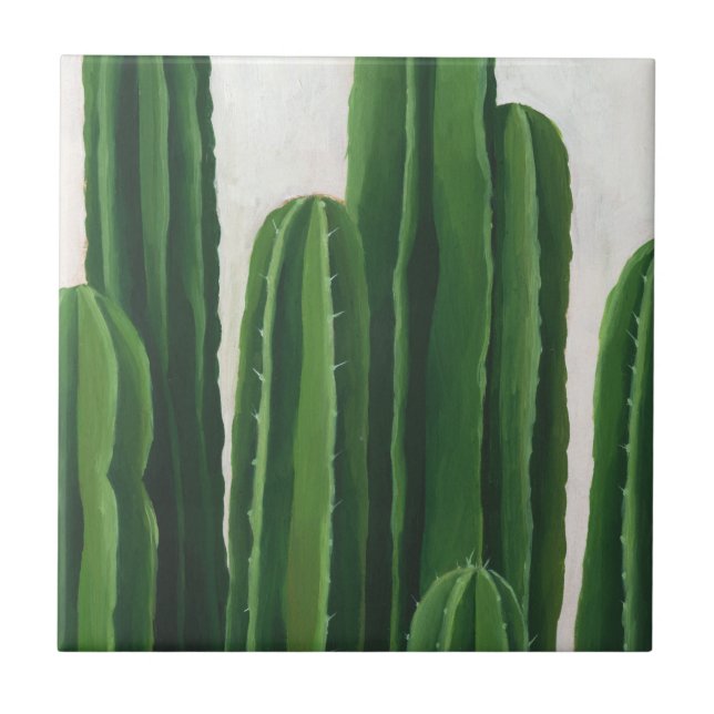 Carreau Pura Vida - Groupe Cactus (Devant)