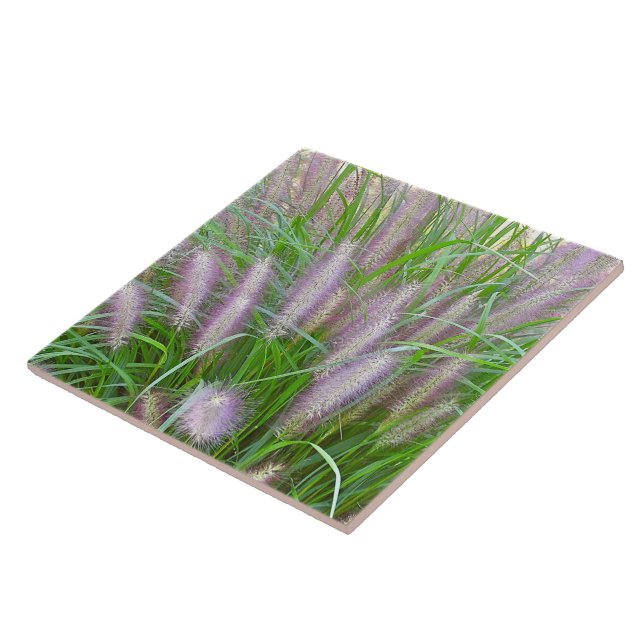 CARREAU PURPLE FONTAINE GRASS CERAMIC TILE (Côté)