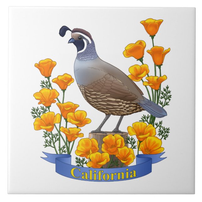 Carreau Quail d'oiseaux de l'État de Californie et coqueli (Devant)