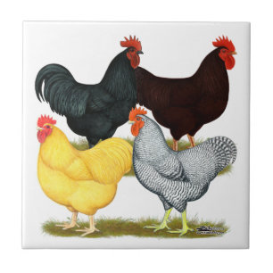 Carreau Quartet lourd de poulet de coq