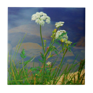 Carreau Queen Ann's lace blue lake