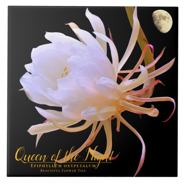Carreau Queen of the Night タイル (Devant)