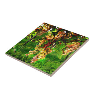 Carreau Raisins accrochants sur les vignes