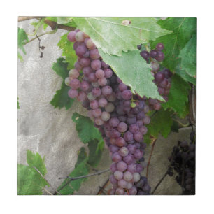 Carreau Raisins pourpres sur la vigne