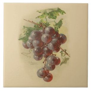 Carreau Raisins vintages