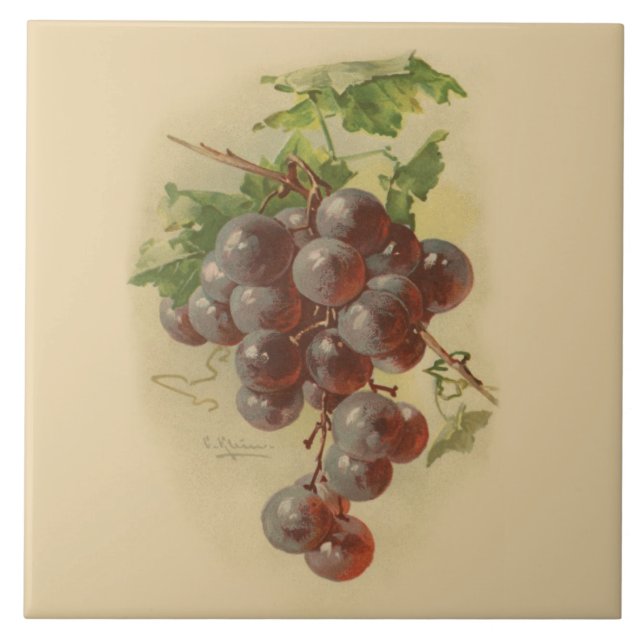 Carreau Raisins vintages (Devant)