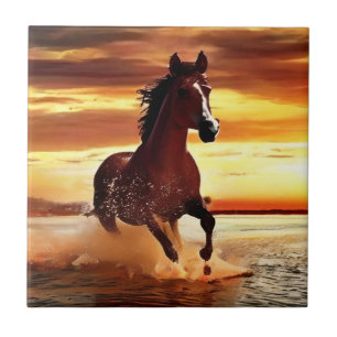 Carreau Randonnée À Cheval Sauvage À Travers Le Surf
