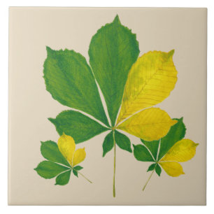 Carreau 'Rang De Basanti' sur un Carrelage en céramique (I