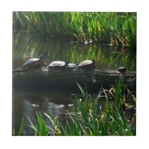 Carreau Rangée de tortues photo verte de la nature