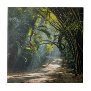 Carreau Rangées de bambou