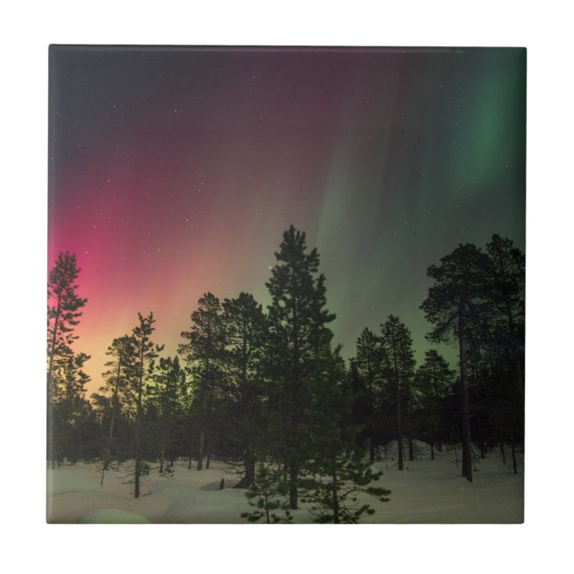 Carreau Rasta Borealis (Devant)
