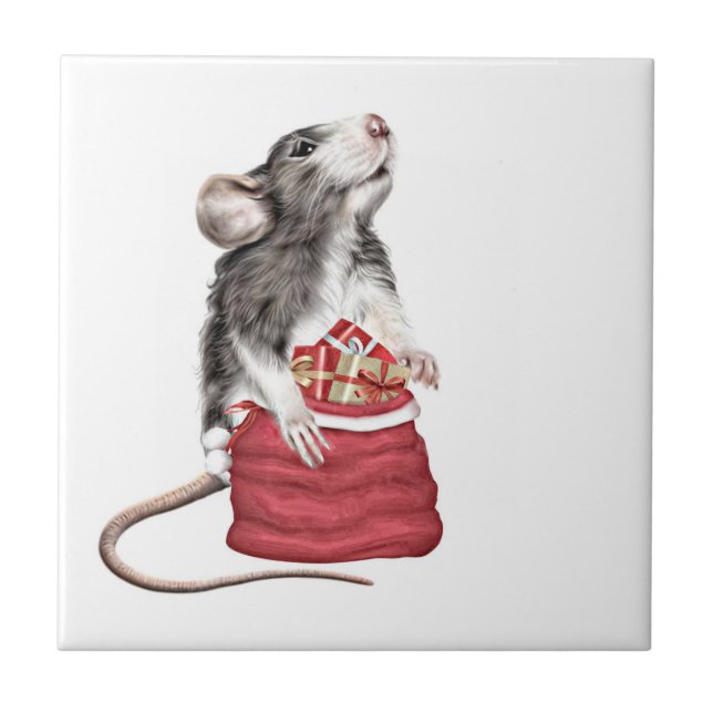Carreau Rat de Noël de la Cute Festive (Devant)