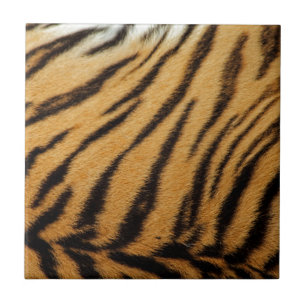 Carreau Rayures de fourrure de tigre