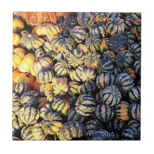 Carreau Rayures Et Citrouilles 