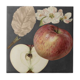 Carreau Récolte de minuit II