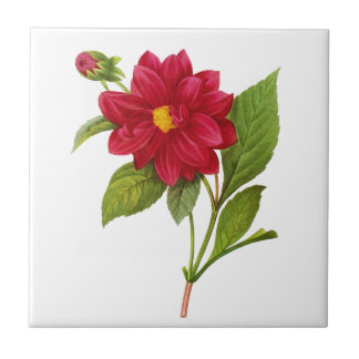 Carreau Red Dahlia par Pierre Joseph Redoute