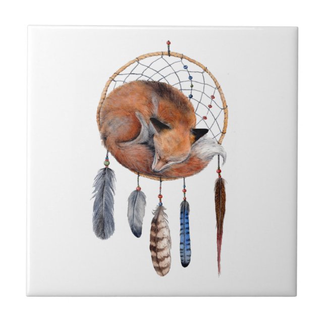Carreau Red Fox dormant sur Dreamcatcher (Devant)