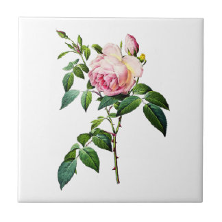 Carreau Redoute Roses roses roses