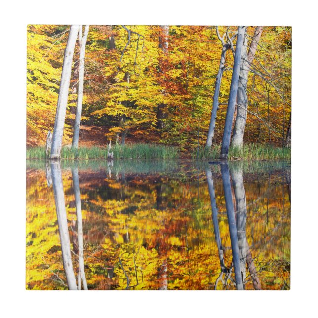 Carreau Réflexion d'automne (Devant)