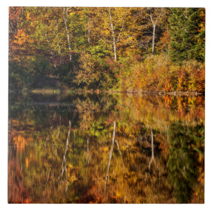 Carreau Réflexion d'automne sur Coffin Pond