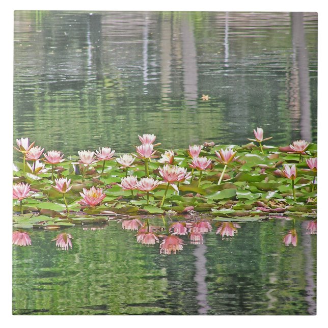 CARREAU RÉFLEXIONS DE LOTUS BLOSSOMS/POND DE ROSE DE (Devant)