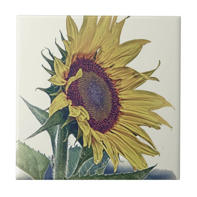 Carreau Regard minable original de vieille école de (Devant)