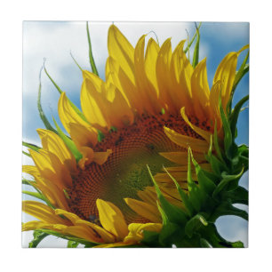 Carreau Regard sur le soleil