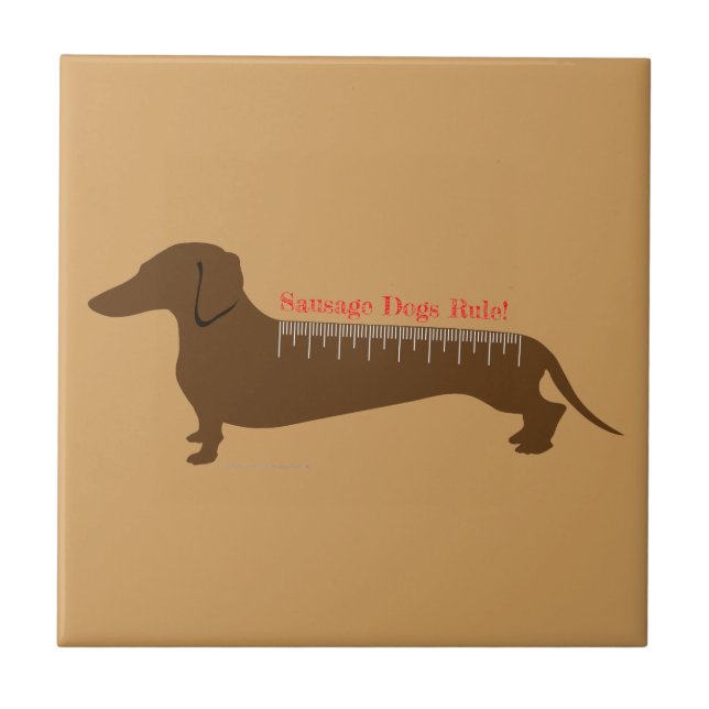 Carreau Règle des chiens de saucisse (Devant)