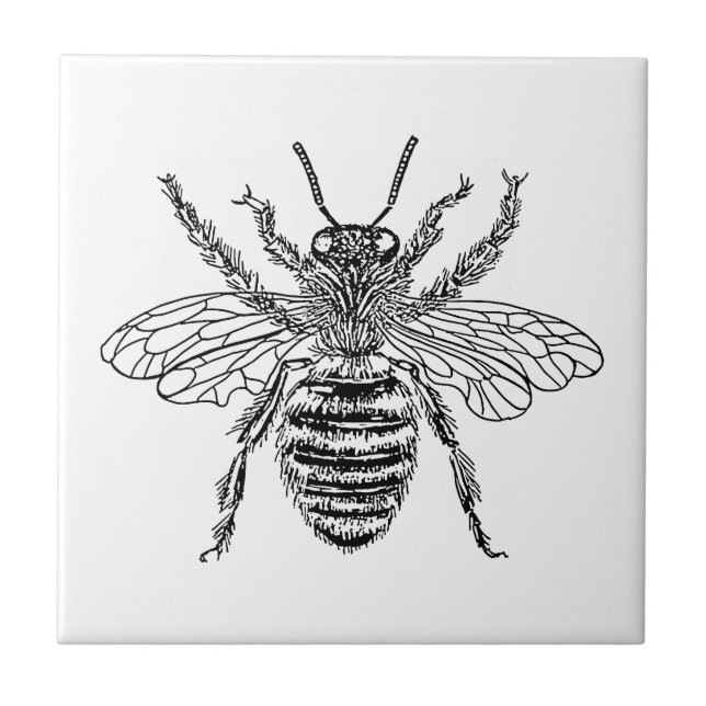 Carreau Reine des abeilles (Devant)