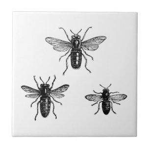 Carreau Reine des abeilles vintage et illustration