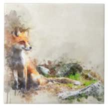 Renard dans la peinture sauvage