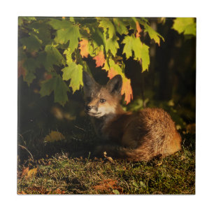 Carreau  Renard Feuilles et Ombres      