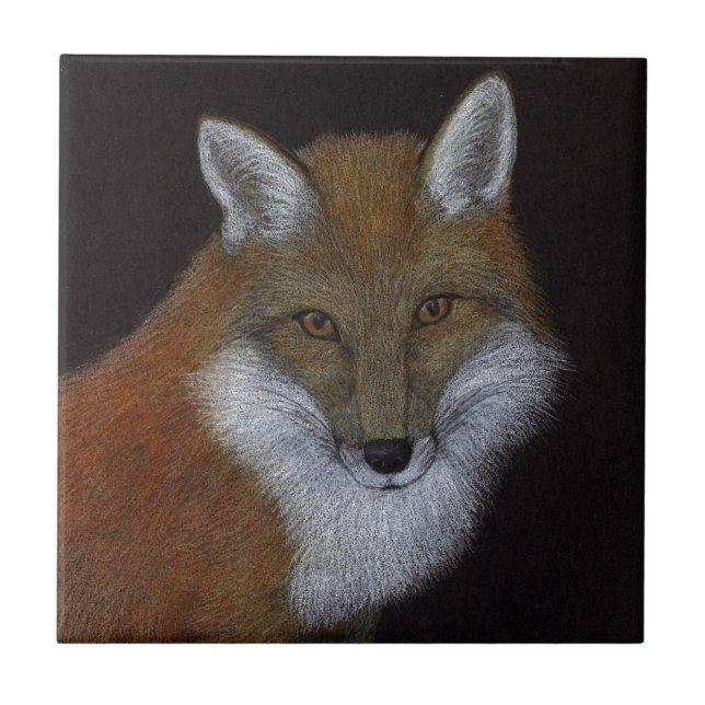 Carreau Renard rouge (Devant)