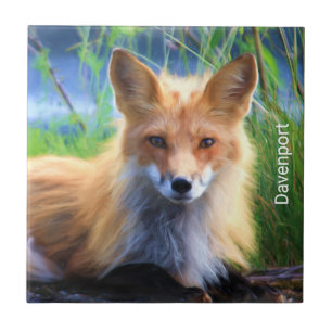 Carreau Renard rouge Laying in the Grass Pittoresque Perso