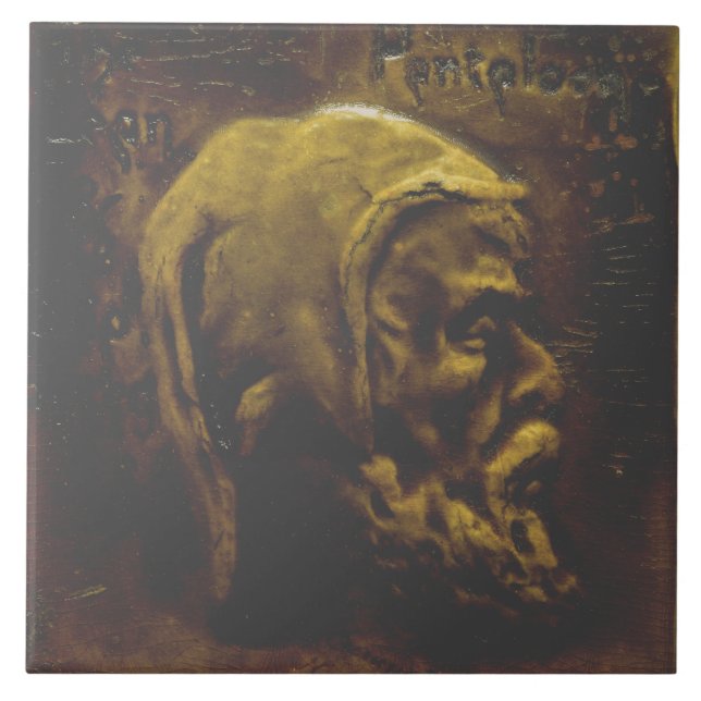 Carreau Repro Dutch Faux Relief Gris Beauté Tile face (Devant)