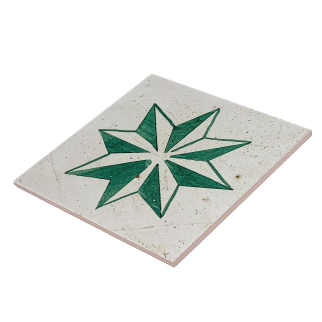 Carreau Repro Espagnol Géométrique Azulejos Vert Floral (Côté)