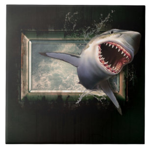 Carreau Requin blanc