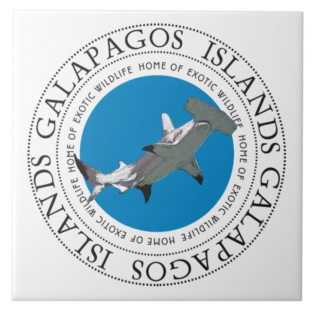 Carreau requin marteau des îles Galapagos (Devant)