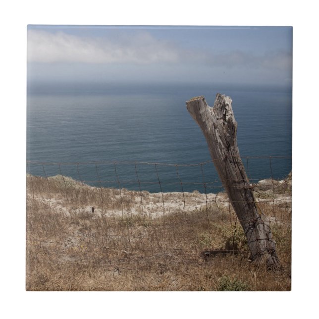 Carreau Retraite de l'artiste (Devant)