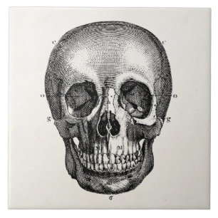 Carreau Rétros crânes de crâne vintage de 1800s