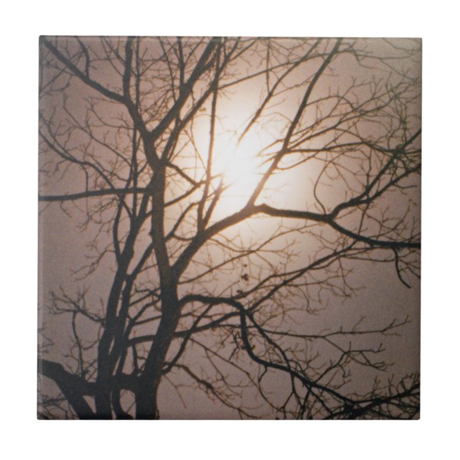 Carreau Rêve lunaire (Devant)